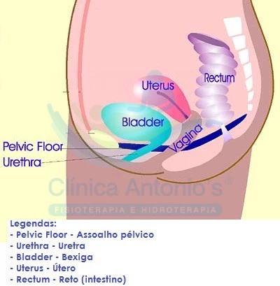 Aplicações da Fisioterapia pélvica