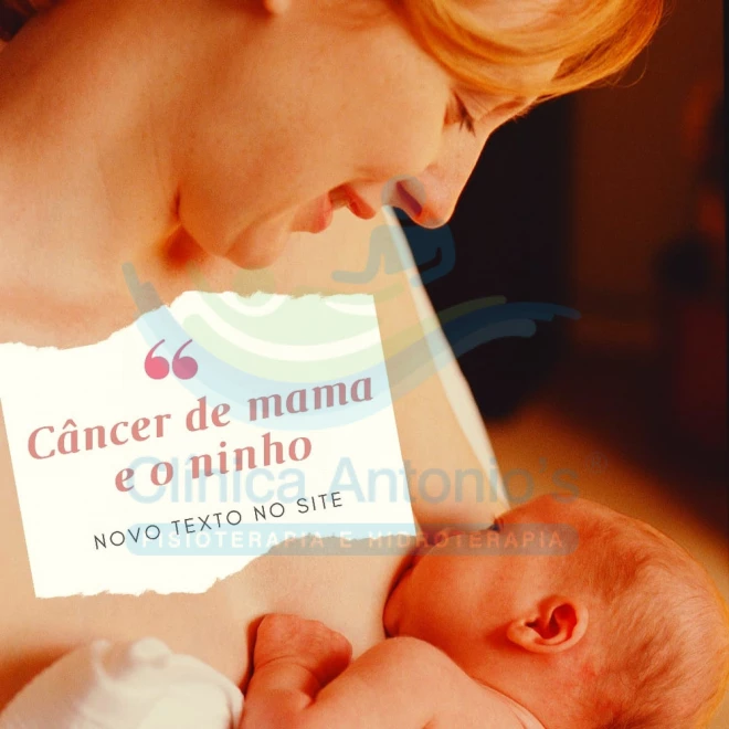 Câncer de mama e o "ninho"