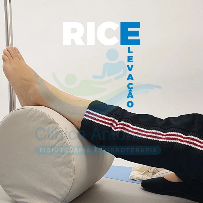 RICE - Elevação